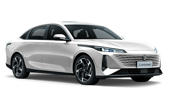 Звездный белый