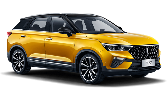 Желто-черный