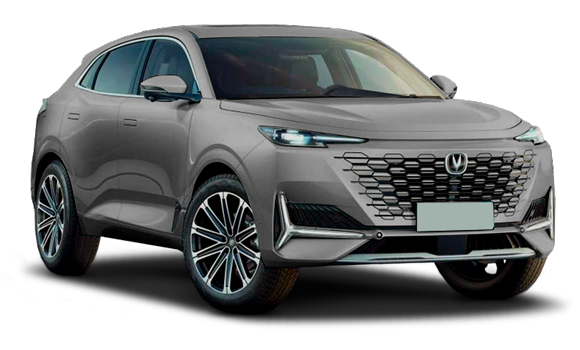 Звездный серый