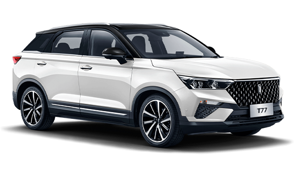 Бело-черный