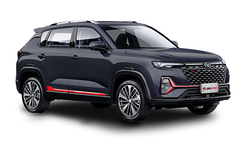 Серебристый пепел